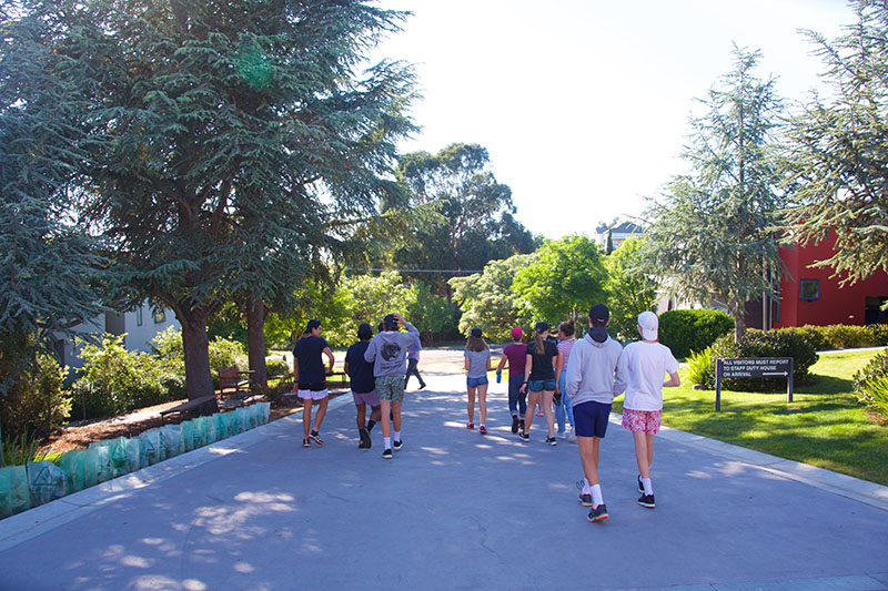 A large group of students walking down a path