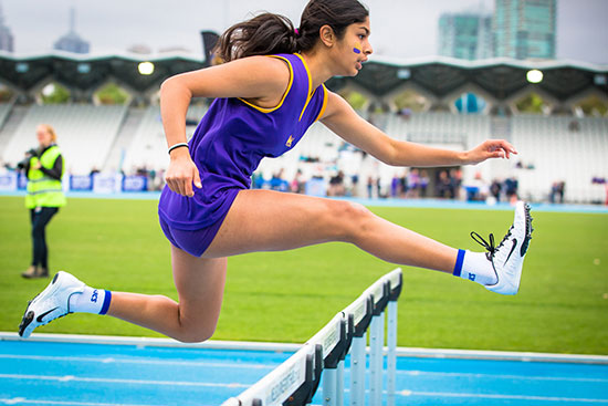 2015 Sport Summary