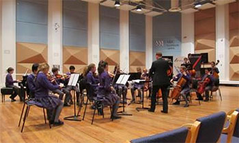 McArthur Strings awarded platinum shield