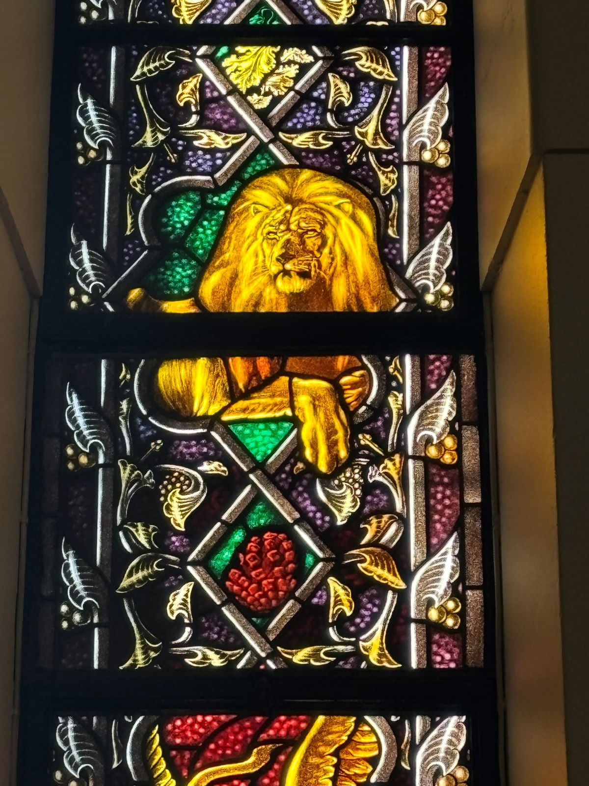 Window